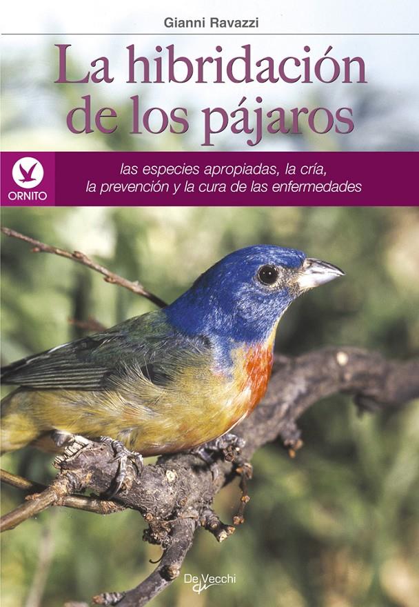 HIBRIDACION DE LOS PAJAROS, LA | 9788431520472 | RAVAZZI, GIANNI | Galatea Llibres | Llibreria online de Reus, Tarragona | Comprar llibres en català i castellà online