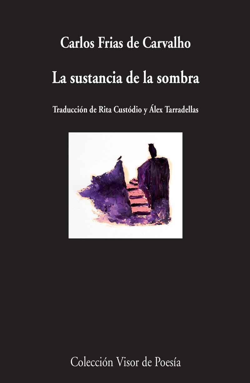 LA SUSTANCIA DE LA SOMBRA | 9788498958775 | FRIAS DE CARVALHO, CARLOS | Galatea Llibres | Llibreria online de Reus, Tarragona | Comprar llibres en català i castellà online