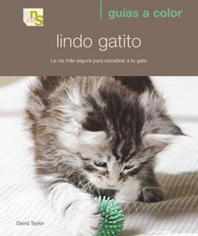 LINDO GATITO | 9788493662639 | TAYLOR, DAVID | Galatea Llibres | Llibreria online de Reus, Tarragona | Comprar llibres en català i castellà online