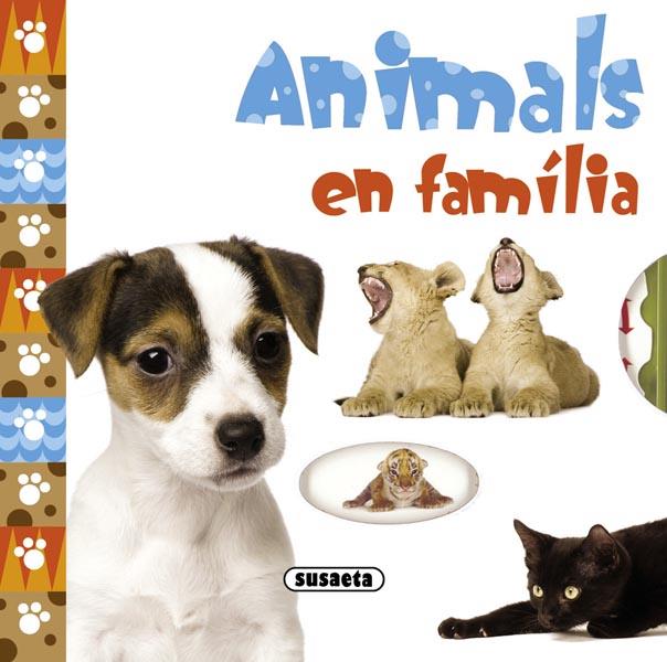 ANIMALS EN FAMILIA | 9788467717228 | APSLEY, BRENDA | Galatea Llibres | Llibreria online de Reus, Tarragona | Comprar llibres en català i castellà online