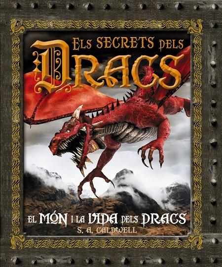 ELS SECRETS DELS DRACS | 9788480169967 | Galatea Llibres | Llibreria online de Reus, Tarragona | Comprar llibres en català i castellà online