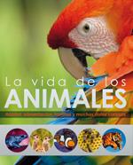 VIDA DE LOS ANIMALES | 9788428536691 | Galatea Llibres | Librería online de Reus, Tarragona | Comprar libros en catalán y castellano online