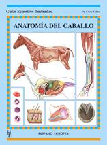 ANATOMÍA DEL CABALLO | 9788425515736 | COLLES, CHRIS | Galatea Llibres | Llibreria online de Reus, Tarragona | Comprar llibres en català i castellà online