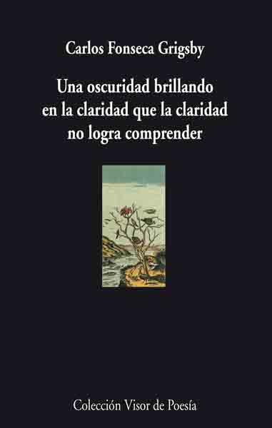 OSCURIDAD BRILLANDO EN LA CLARIDAD QUE LA CLARIDAD NO LOGRA | 9788475226811 | FONSECA GRIGSBY, CARLOS | Galatea Llibres | Llibreria online de Reus, Tarragona | Comprar llibres en català i castellà online