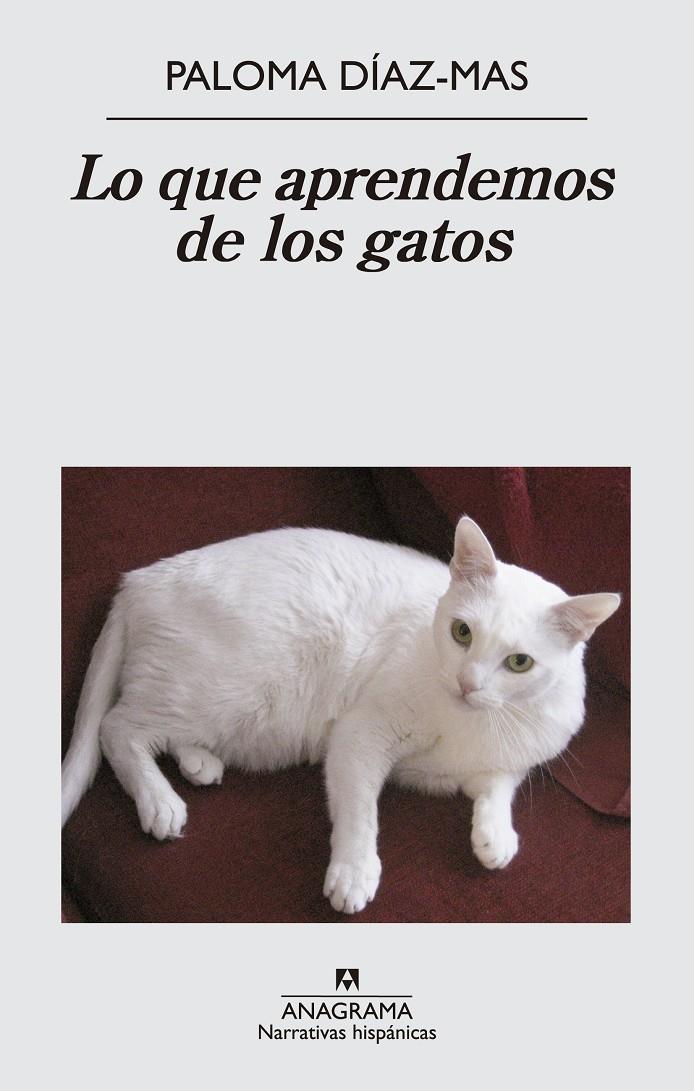 LO QUE APRENDEMOS DE LOS GATOS | 9788433997807 | DÍAZ MAS, PALOMA | Galatea Llibres | Llibreria online de Reus, Tarragona | Comprar llibres en català i castellà online