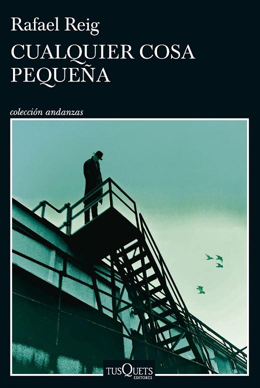 CUALQUIER COSA PEQUEÑA | 9788411074728 | REIG, RAFAEL | Galatea Llibres | Llibreria online de Reus, Tarragona | Comprar llibres en català i castellà online