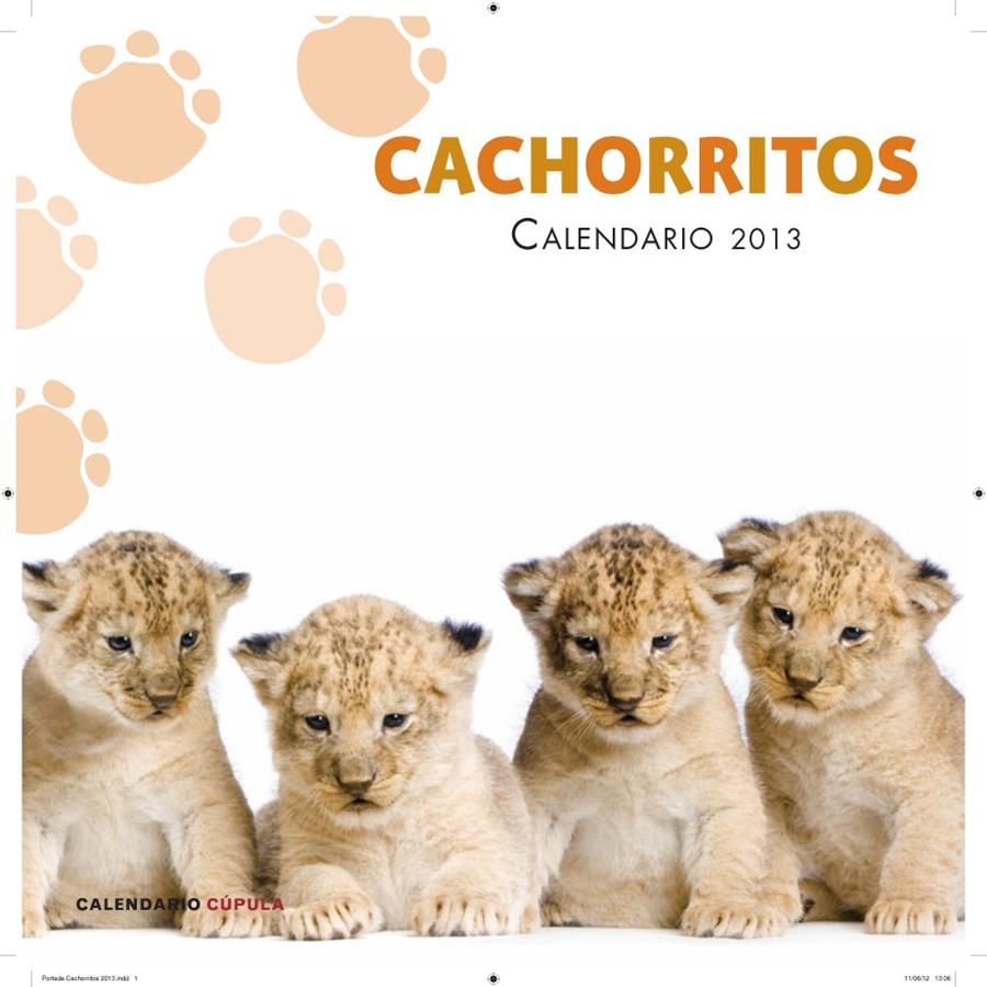 CALENDARIO CACHORRITOS 2013 | 9788448006655 | Galatea Llibres | Llibreria online de Reus, Tarragona | Comprar llibres en català i castellà online