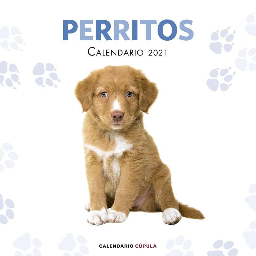 CALENDARIO PERRITOS 2021 | 9788448027766 | AA. VV. | Galatea Llibres | Llibreria online de Reus, Tarragona | Comprar llibres en català i castellà online