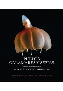 PULPOS, CALAMARES Y SEPIAS | 9788428217217 | HANLON, ROGER/VECCHIONE, MIKE/ALLCOCK, LOUISE | Galatea Llibres | Llibreria online de Reus, Tarragona | Comprar llibres en català i castellà online