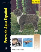 PERRO DE AGUA ESPAÑOL | 9788425515668 | DÉSARNAUD, CRISTINA | Galatea Llibres | Llibreria online de Reus, Tarragona | Comprar llibres en català i castellà online