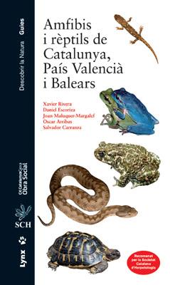 AMFIBIS I RÈPTILS DE CATALUNYA, PAÍS VALENCIÀ I BALEARS | 9788496553538 | RIVERA, XAVIER/ESCORIZA DANIEL/MALUQUER-MARGALEF, JOAN/ARRIBAS, OSCAR/CARRANZA, SALVADOR/FILELLA SUB | Galatea Llibres | Llibreria online de Reus, Tarragona | Comprar llibres en català i castellà online