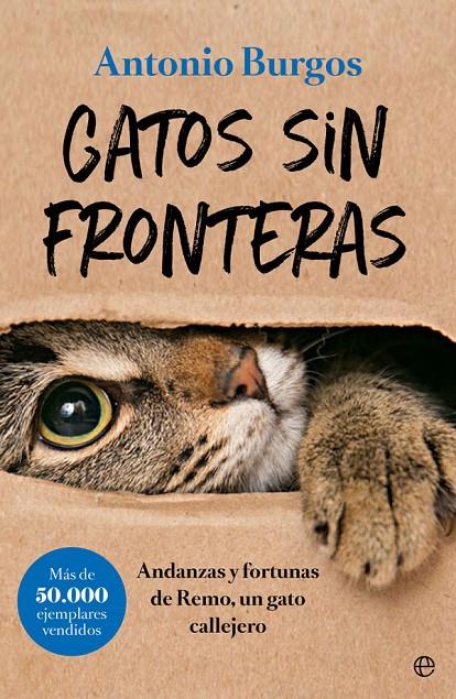 GATOS SIN FRONTERAS | 9788491644248 | BURGOS, ANTONIO | Galatea Llibres | Llibreria online de Reus, Tarragona | Comprar llibres en català i castellà online