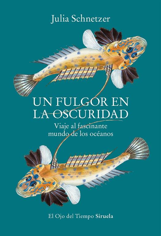 UN FULGOR EN LA OSCURIDAD | 9788419553119 | SCHNETZER, JULIA | Galatea Llibres | Llibreria online de Reus, Tarragona | Comprar llibres en català i castellà online