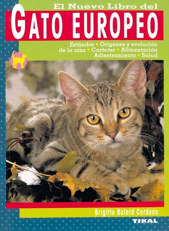 GATO EUROPEO | 9788430548224 | BULARD CORDEAU, BRIGITTE | Galatea Llibres | Llibreria online de Reus, Tarragona | Comprar llibres en català i castellà online