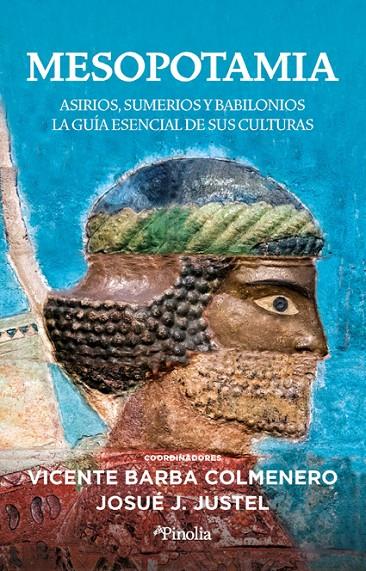 MESOPOTAMIA | 9788418965784 | BARBA COLMENERO, VICENTE | Galatea Llibres | Llibreria online de Reus, Tarragona | Comprar llibres en català i castellà online