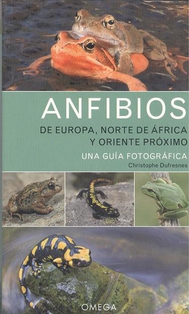 ANFIBIOS DE EUROPA NORTE DE AFRICA Y ORIENTE PROXIMO | 9788428217330 | DUFRESNES, CHRISTOPHE | Galatea Llibres | Llibreria online de Reus, Tarragona | Comprar llibres en català i castellà online