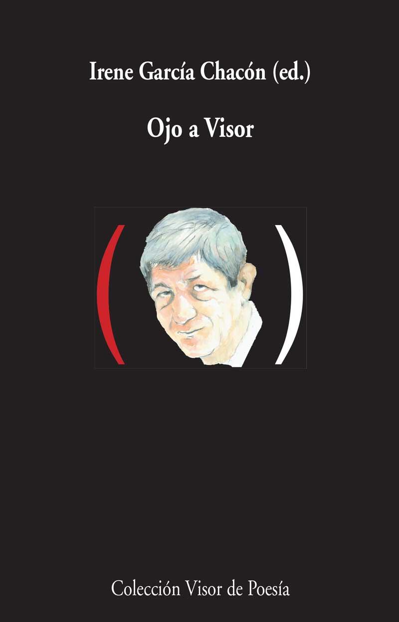 OJO A VISOR | 9788498959000 | GARCÍA CHACÓN, IRENE | Galatea Llibres | Llibreria online de Reus, Tarragona | Comprar llibres en català i castellà online