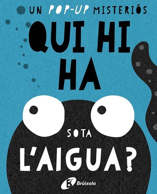 QUI HI HA SOTA L'AIGUA? | 9788499067667 | Galatea Llibres | Librería online de Reus, Tarragona | Comprar libros en catalán y castellano online