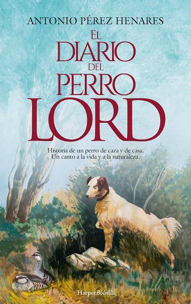 EL DIARIO DEL PERRO LORD | 9788419809384 | PÉREZ HENARES, ANTONIO | Galatea Llibres | Llibreria online de Reus, Tarragona | Comprar llibres en català i castellà online