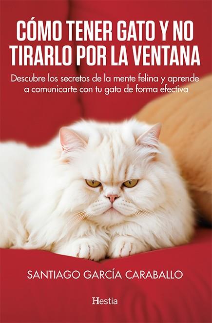 CÓMO TENER GATO Y NO TIRARLO POR LA VENTANA | 9788412864748 | GARCÍA CARABALLO, SANTIAGO | Galatea Llibres | Librería online de Reus, Tarragona | Comprar libros en catalán y castellano online