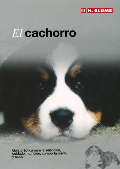 CACHORRO, EL | 9788489840898 | Galatea Llibres | Llibreria online de Reus, Tarragona | Comprar llibres en català i castellà online