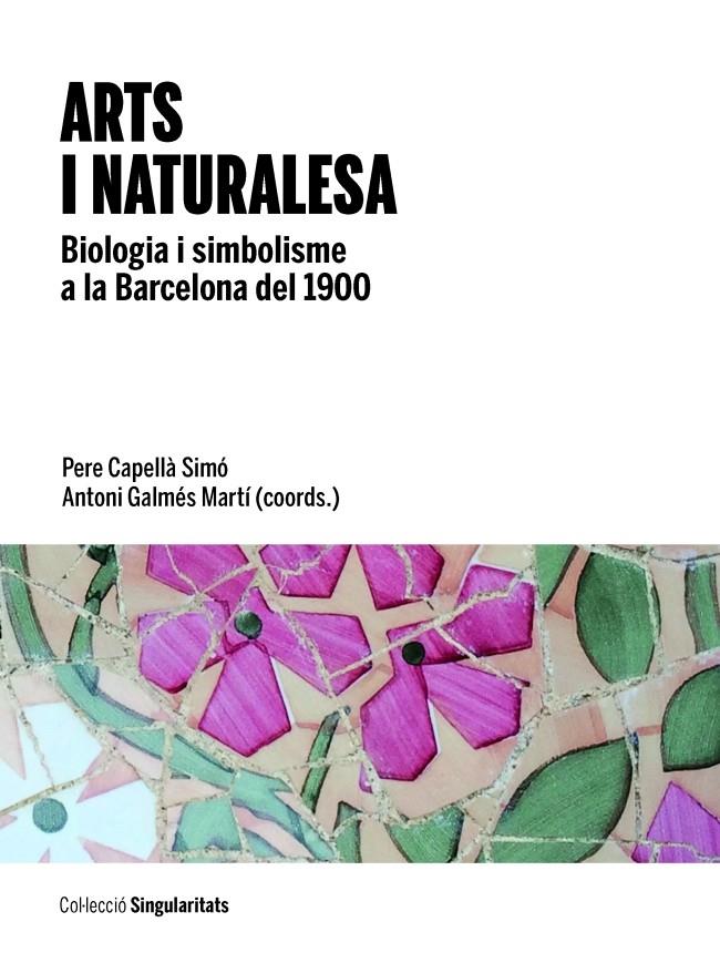 ARTS I NATURALESA | 9788447538751 | CAPELLA, PERE | Galatea Llibres | Llibreria online de Reus, Tarragona | Comprar llibres en català i castellà online