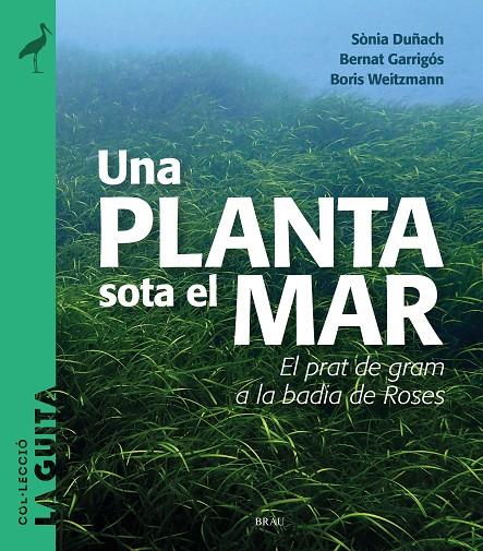 UNA PLANTA SOTA EL MAR | 9788418096747 | DUÑACH, SÒNIA/GARRIGÓS, BERNAT/WEITZMANN, BORIS | Galatea Llibres | Llibreria online de Reus, Tarragona | Comprar llibres en català i castellà online