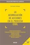 ACUMULACIÓN DE ACCIONES EN EL PROCESO CIVIL | 9788497904773 | GARBERÍ LLOBREGAT, JOSÉ | Galatea Llibres | Llibreria online de Reus, Tarragona | Comprar llibres en català i castellà online