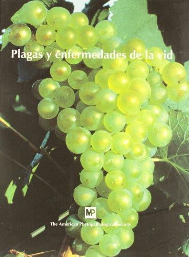 PLAGAS Y ENFERMEDADES DE LA VID | 9788471146076 | AMERICAN PHYTOPATHOLOGICAL SOCIETY | Galatea Llibres | Llibreria online de Reus, Tarragona | Comprar llibres en català i castellà online