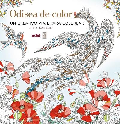 ODISEA DE COLOR | 9788441437241 | Galatea Llibres | Llibreria online de Reus, Tarragona | Comprar llibres en català i castellà online