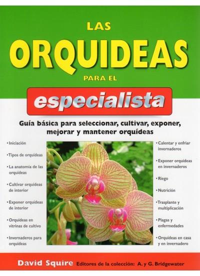 ORQUIDEAS PARA EL ESPECIALISTA, LAS | 9788428214193 | SQUIRE, DAVID | Galatea Llibres | Llibreria online de Reus, Tarragona | Comprar llibres en català i castellà online