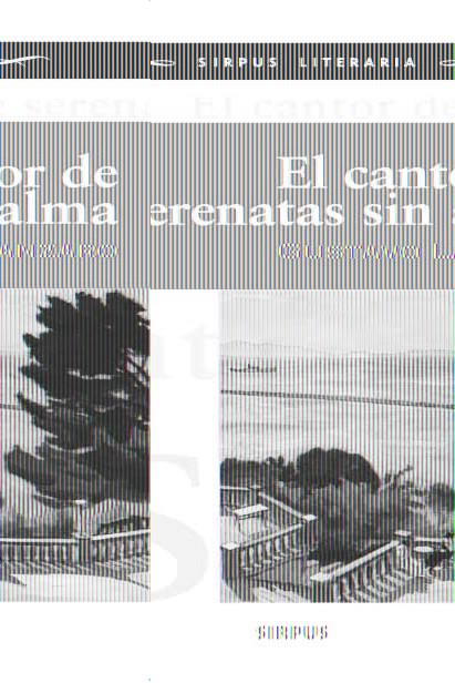 CANTOR DE SERENATAS SIN ALMA | 9788496483835 | LANZARO, GUSTAVO | Galatea Llibres | Llibreria online de Reus, Tarragona | Comprar llibres en català i castellà online