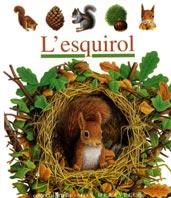 ESQUIROL. L' | 9788482865836 | GALLIMARD JEUNESSE, ÉDITIONS | Galatea Llibres | Librería online de Reus, Tarragona | Comprar libros en catalán y castellano online