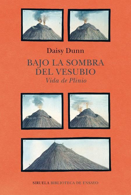 BAJO LA SOMBRA DEL VESUBIO | 9788418708459 | DUNN, DAISY | Galatea Llibres | Llibreria online de Reus, Tarragona | Comprar llibres en català i castellà online