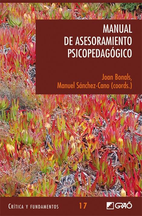 MANUAL DE ASESORAMIENTO PSICOPEDAGOGICO | 9788478275229 | BONALS, JOAN | Galatea Llibres | Llibreria online de Reus, Tarragona | Comprar llibres en català i castellà online