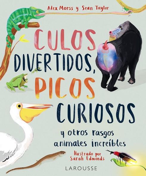 CULOS DIVERTIDOS, PICOS CURIOSOS | 9788419436009 | MORSS, ALEX/TAYLOR, SEAN | Galatea Llibres | Llibreria online de Reus, Tarragona | Comprar llibres en català i castellà online