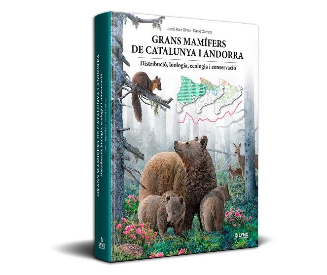 GRANS MAMÍFERS DE CATALUNYA I ANDORRA | 9788416728619 | RUIZ-OLMO, JORDI / DAVID CAMPS | Galatea Llibres | Librería online de Reus, Tarragona | Comprar libros en catalán y castellano online