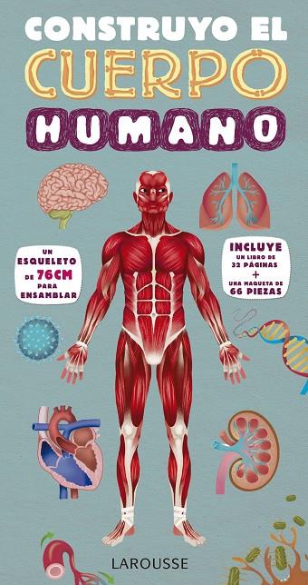 CONSTRUYO EL CUERPO HUMANO | 9788416984091 | Galatea Llibres | Llibreria online de Reus, Tarragona | Comprar llibres en català i castellà online