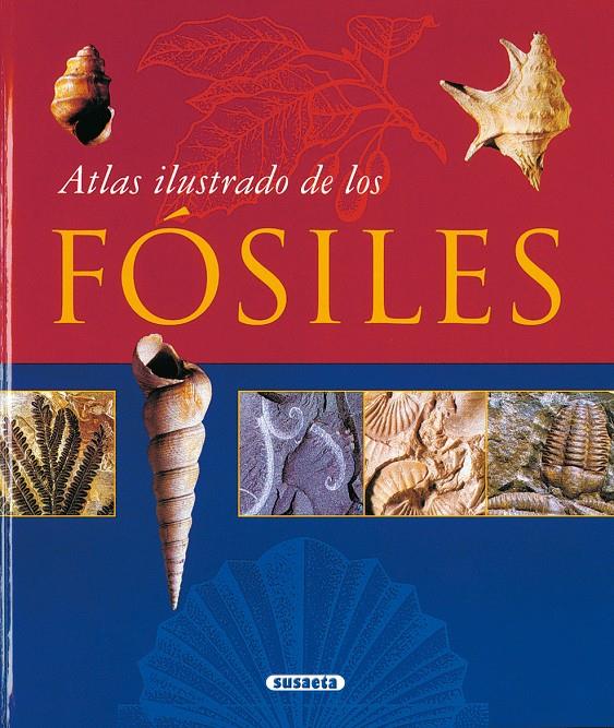 ATLAS ILUSTRADO DE LOS FOSILES | 9788430548712 | VARIOS AUTORES | Galatea Llibres | Llibreria online de Reus, Tarragona | Comprar llibres en català i castellà online