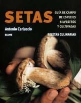 SETAS | 9788480765251 | CARLUCCIO, ANTONIO | Galatea Llibres | Llibreria online de Reus, Tarragona | Comprar llibres en català i castellà online