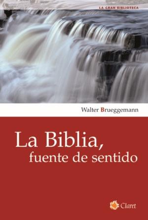 BIBLIA, FUENTE DE SENTIDO | 9788498460735 | BRUEGGEMAN, WALTER | Galatea Llibres | Llibreria online de Reus, Tarragona | Comprar llibres en català i castellà online