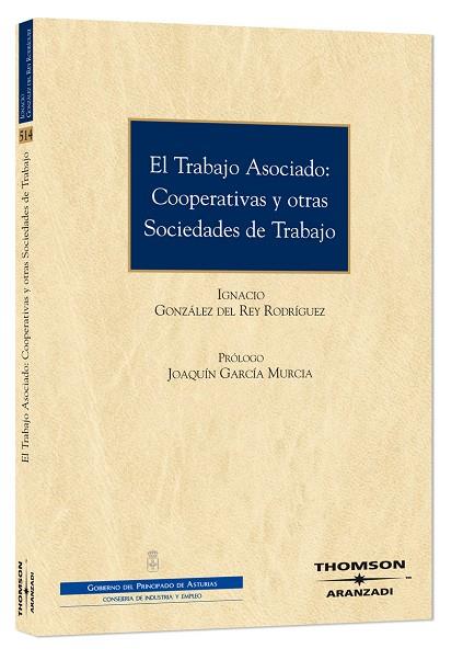 TRABAJO ASOCIADO: COOPERATIVAS Y OTRAS SOCIEDADES DE TRABAJO | 9788483556238 | GLEZ, IGNACIO | Galatea Llibres | Llibreria online de Reus, Tarragona | Comprar llibres en català i castellà online