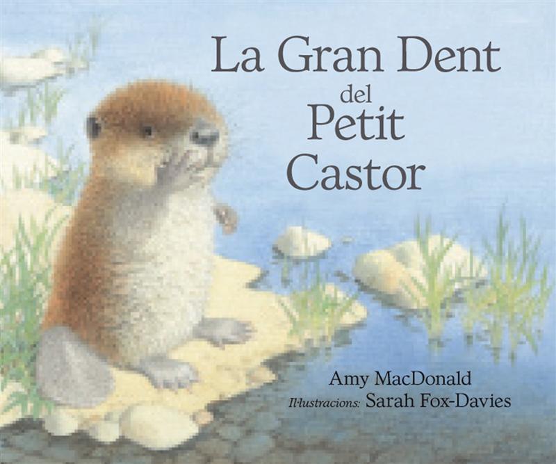 LA GRAN DENT DEL PETIT CASTOR | 9788493933944 | MACDONALD, AMY | Galatea Llibres | Librería online de Reus, Tarragona | Comprar libros en catalán y castellano online