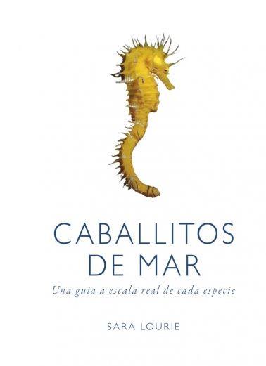 CABALLITOS DE MAR | 9788428216807 | LOURIE, SARA | Galatea Llibres | Llibreria online de Reus, Tarragona | Comprar llibres en català i castellà online