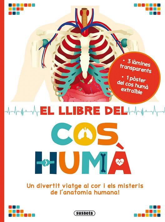 EL LLIBRE DEL COS HUMÀ | 9788467752953 | BROUGÈRE, MAUD | Galatea Llibres | Llibreria online de Reus, Tarragona | Comprar llibres en català i castellà online