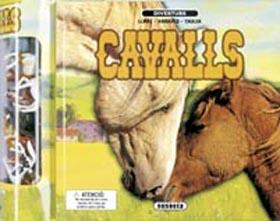 CAVALLS. DIVERTUBS | 9788430556137 | RING, SUSAN/PALMER, RUTH | Galatea Llibres | Llibreria online de Reus, Tarragona | Comprar llibres en català i castellà online