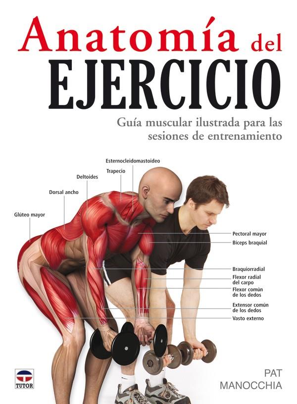 ANATOMIA DEL EJERCICIO. GUIA MUSCULAR ILUSTRADA SESIONES | 9788479027261 | MANOCCHIA, PAT | Galatea Llibres | Librería online de Reus, Tarragona | Comprar libros en catalán y castellano online