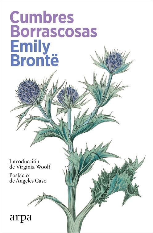 CUMBRES BORRASCOSAS | 9788419558930 | BRONTË, EMILY | Galatea Llibres | Librería online de Reus, Tarragona | Comprar libros en catalán y castellano online