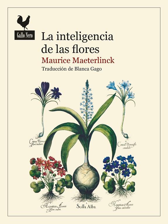 LA INTELIGENCIA DE LAS FLORES | 9788419168016 | MAETERLINCK, MAURICE | Galatea Llibres | Llibreria online de Reus, Tarragona | Comprar llibres en català i castellà online