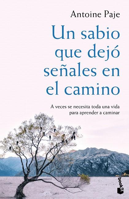 UN SABIO QUE DEJO SEÑALES EN EL CAMINO | 9788408166382 | PAJE, ANTOINE | Galatea Llibres | Llibreria online de Reus, Tarragona | Comprar llibres en català i castellà online